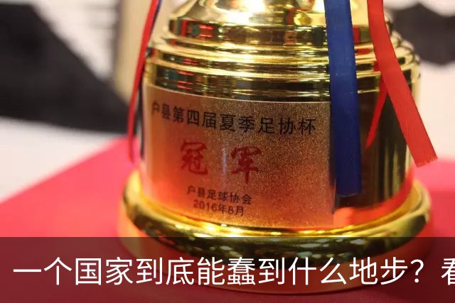 一个国家到底能蠢到什么地步？看看瑞典你就知道了，三十年前，瑞典的人均GDP高达3.2万美元，可以夜不闭户，如今到处都是难民
