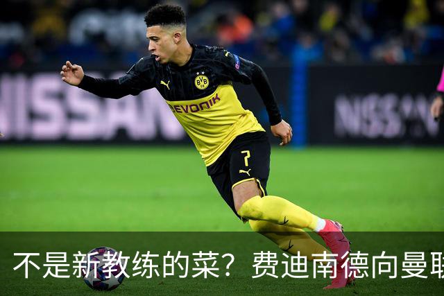 不是新教练的菜？费迪南德向曼联边后卫发出警告
