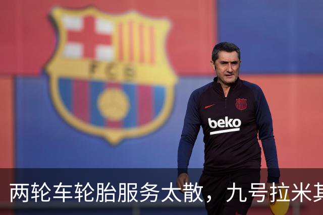 两轮车轮胎服务太散，九号拉米其林进店补课