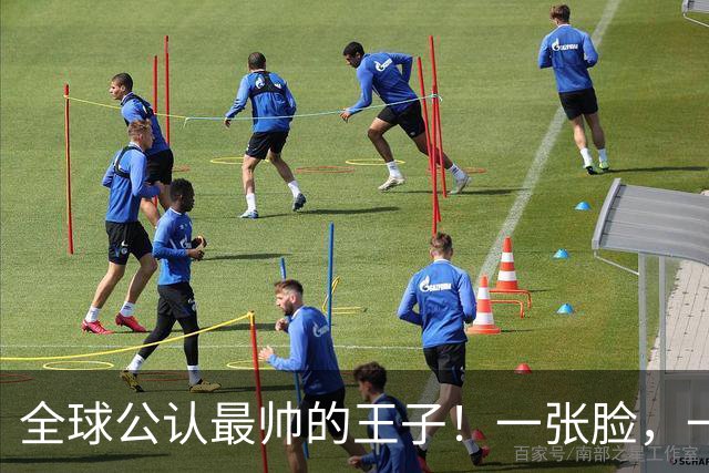 全球公认最帅的王子！一张脸，一个笑容，美得惊人！
