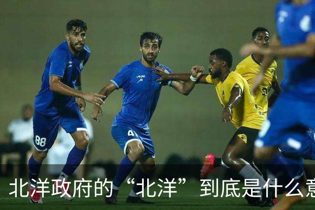 北洋政府的“北洋”到底是什么意思？不是北方洋人的意思