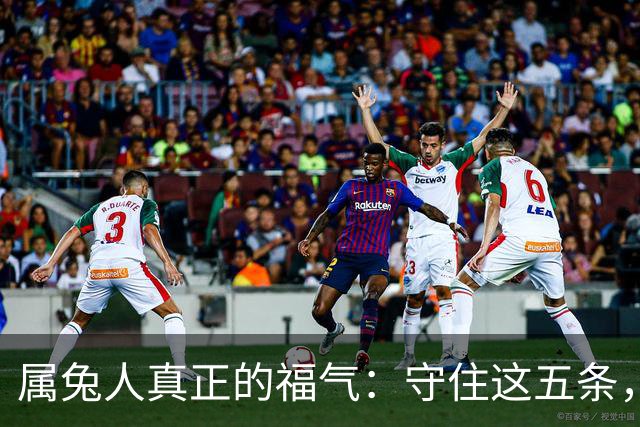 属兔人真正的福气：守住这五条，余生安稳顺遂