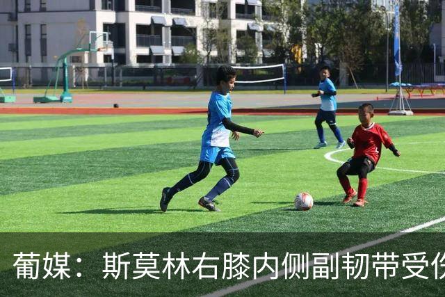 葡媒：斯莫林右膝内侧副韧带受伤，将缺席波尔图数场比赛