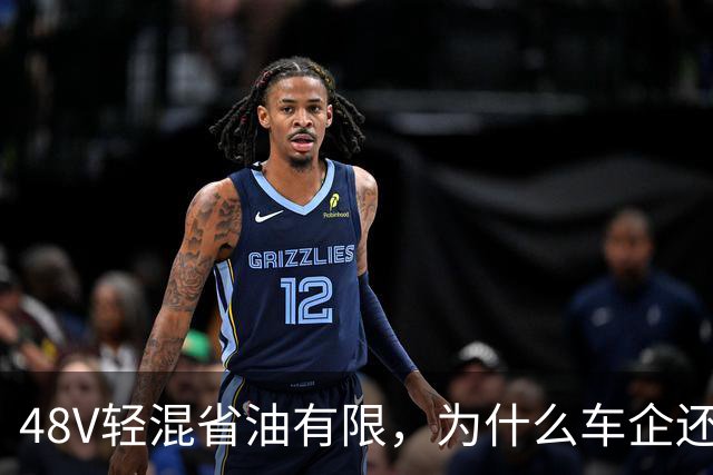 48V轻混省油有限，为什么车企还在大面积装？