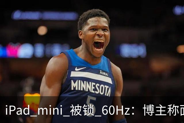 iPad mini 被锁 60Hz：博主称面板支持 120Hz，供应链却说没这回事